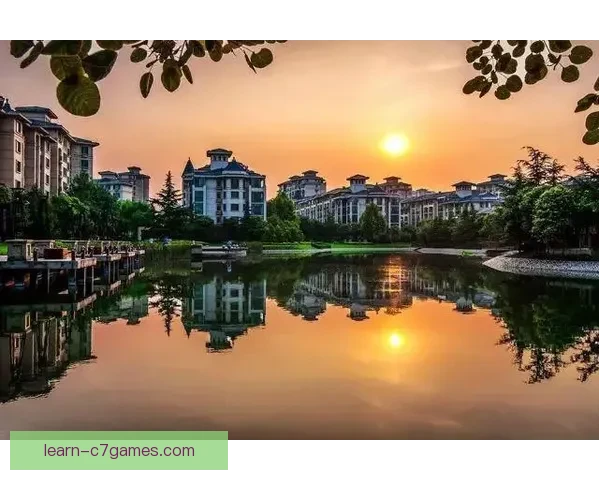 巴恩斯利俱乐部全景解析与未来发展趋势深度剖析